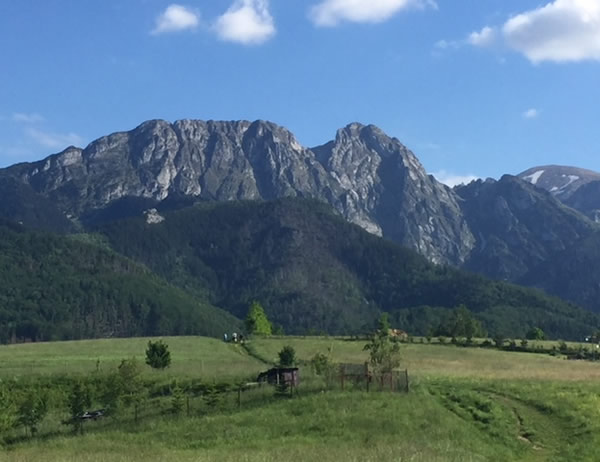 Lipki